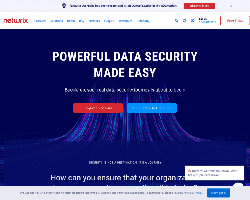 Netwrix company homepage snapshot