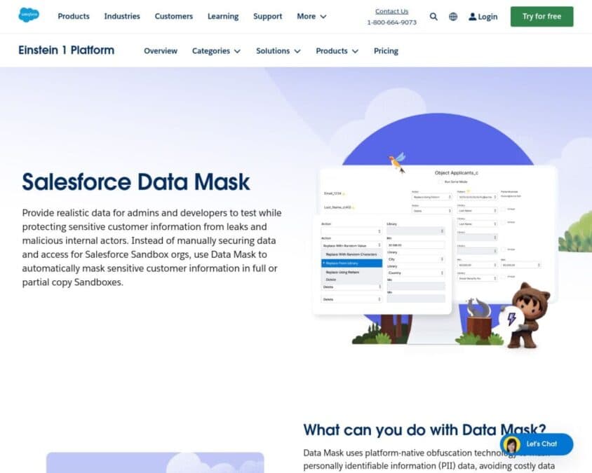 Salesforce Data Mask Home Page