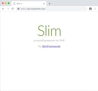 Slim screenshot